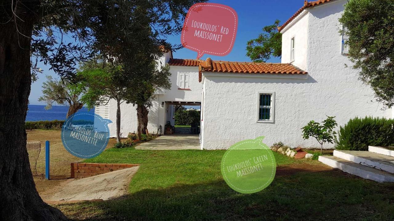 Loukoulos' Maisonette Hébergement de vacances